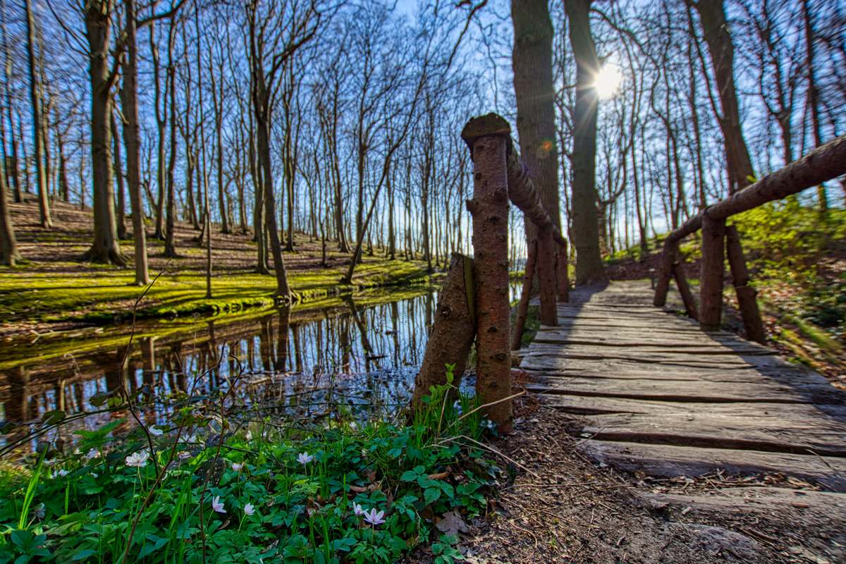 schlossteich-lietzow